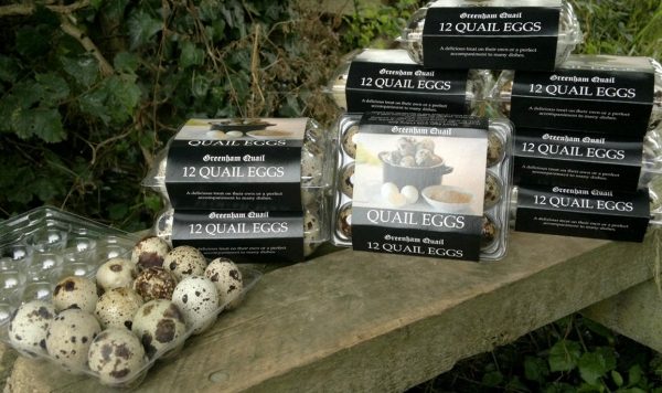 Greenham - Quails Eggs (Sold by the Dozen)