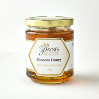 Paynes - Blossom Honey Clear (6 x 340g)